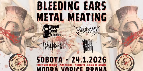 BLEEDING EARS METAL MEATING vol. IV