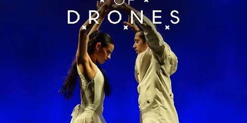Dance of Drones: A Show Where Art Takes Flight