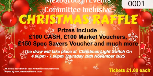 Christmas Lights Switch On