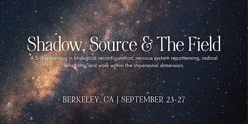 Shadow, Source & the Field | biological reconfiguration & nervous system repatterning