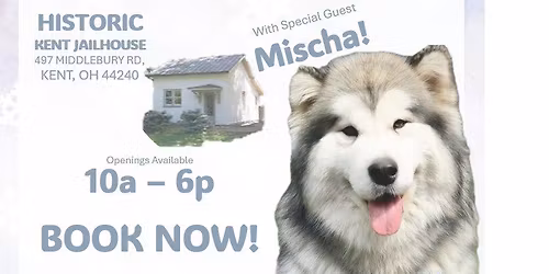 Winter Wonderland Photos Ft. Mischa