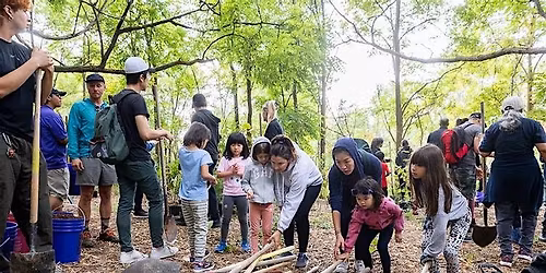Tree planting with NDG \/\/ Plantation d\u2019arbres gr\u00e2ce au programme NDG