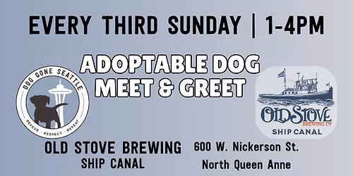 Adoptable Dog Meet & Greet At Old Stove Brewing