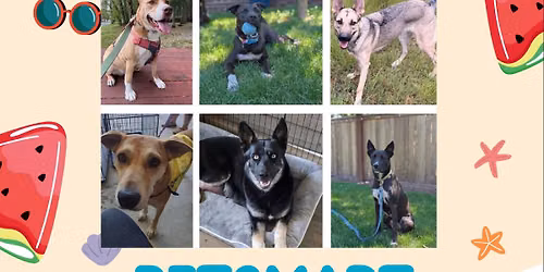 Adoption Event - PetSmart Lacey