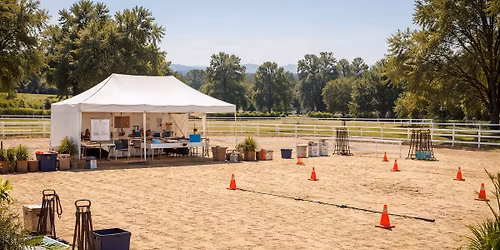 Winnebago County 4-H horse and pony clinic (4-H members only)