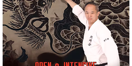 Stages AKUZAWA Sensei 2026