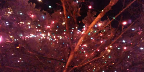 Muzyka! at Mi Element - Christmas Sing Along. Added bonus obscure but lovely songs you may not know!