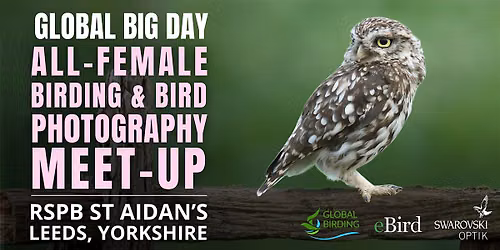 Global Big Day: All-Female Birding & Bird Photography Meet-Up