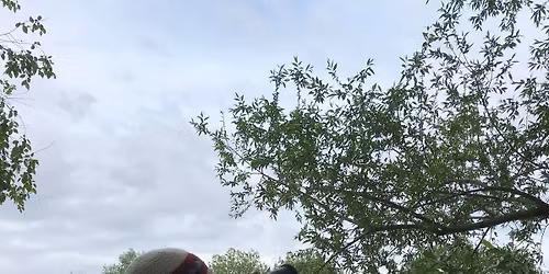 Spring Bird Count
