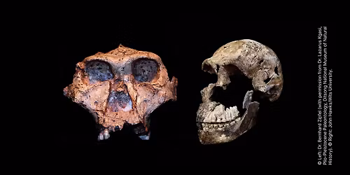 Vin & Videnskab: A journey into humanity\u2019s deep past - AFLYST