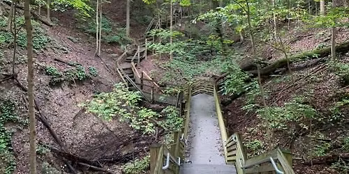 FULL - A Walk on the Wild Side at Happy Hollow Park