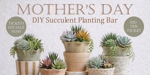 DIY Succulent Bar