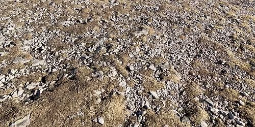 Intermediate Guided Walk \u2013 Pentland Hills, Edinburgh | 31 May