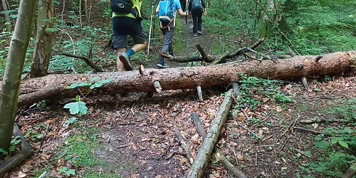 Megsz\u00fcntetett turistautakon