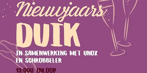 Nieuwjaarsduik