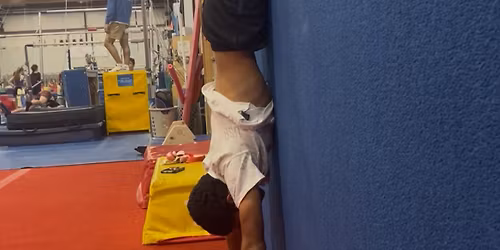 Handstand Clinic 