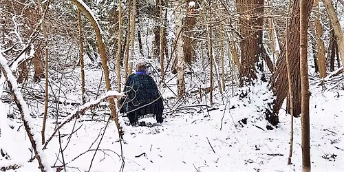 EARLY WINTER SOLSTICE FOREST THERAPY WALK