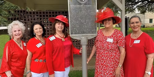 STATE FARM STADIUM TOURS - 12\/03\/2025