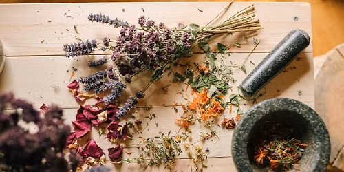 Formation d'herboristerie et de phytoth\u00e9rapie - Groupe en personne