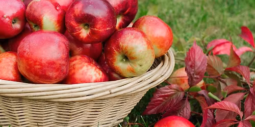 \u00c6bler, mursten og magi \u2013 110 \u00e5r med historier fra Anneberg