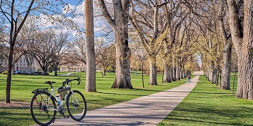 The Sound of Music - New Haven