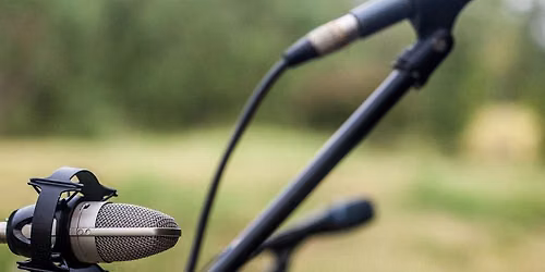 Music on the Lawn