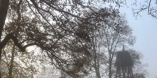 Musik i S:ta Birgitta - Musikalen: Den barmh\u00e4rtige