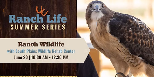Ranch Wildlife | Ranch Life Summer Series