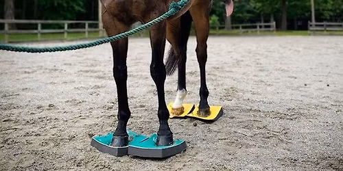 Wendy Murdoch - SURE FOOT Workshop