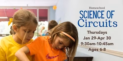 HOMESCHOOL: CITRUS BATTERIES