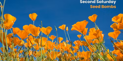 Second Saturdays | Seed Bombs