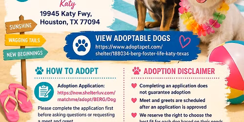 June Adoption Event - Katy