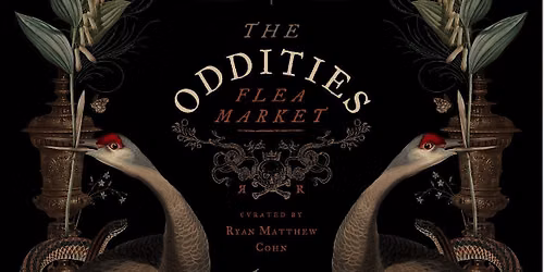 Oddities Flea Market: Connecticut Halloween 2026