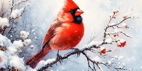 Acrylic Art Class: Cardinal on canvas