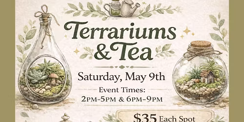 Terrariums & Tea Guided Workshop 