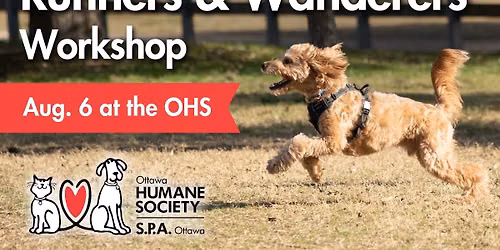 Runners & Wanderers Group Dog Training Workshop
