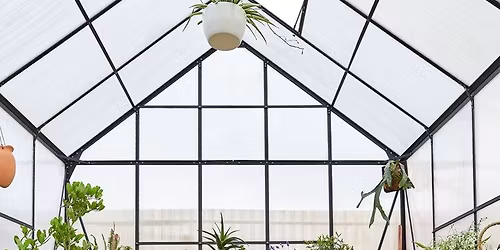 Storing Tender Plants & Hobby Greenhouse Health\u2014Lunch and Learn