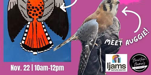 Paint with an American Kestrel at Ijams Nature Center