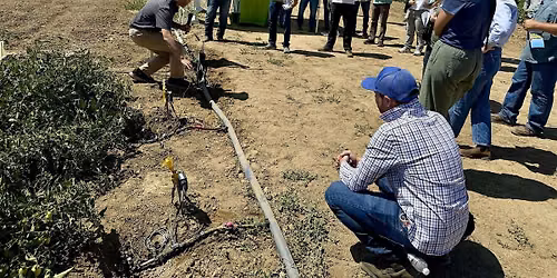 UC ANR Connect Field Day: Agtech for Permanent Crops