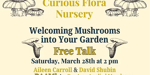 Welcoming Mushrooms into Your Garden, a Free Talk
