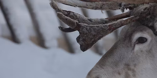 Winter Solstice Eve Ceremony