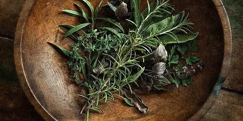 Herbalism for Beginners
