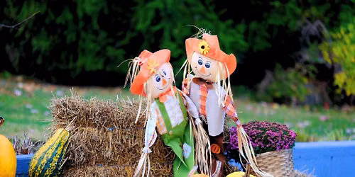Not-So-Spooky Fall Festival 