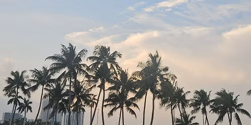 Cruise with me on Carnival Paradise