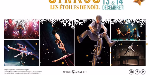 Jólasirkus, les étoiles de Noël 