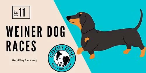 Weiner Dog Races