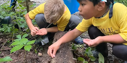 Wee Explorers Half Day Camp