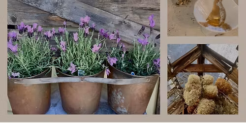 March 18th Spring Ladies night !!!