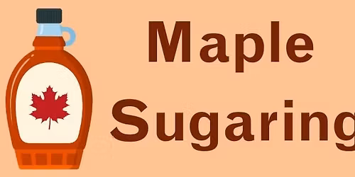 Maple Sugaring in your Backyard