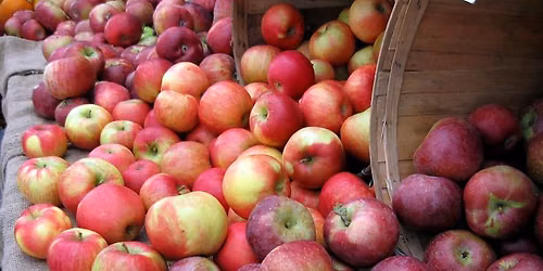 Waltham Farmers' Market- June 6- October 31, 2026
